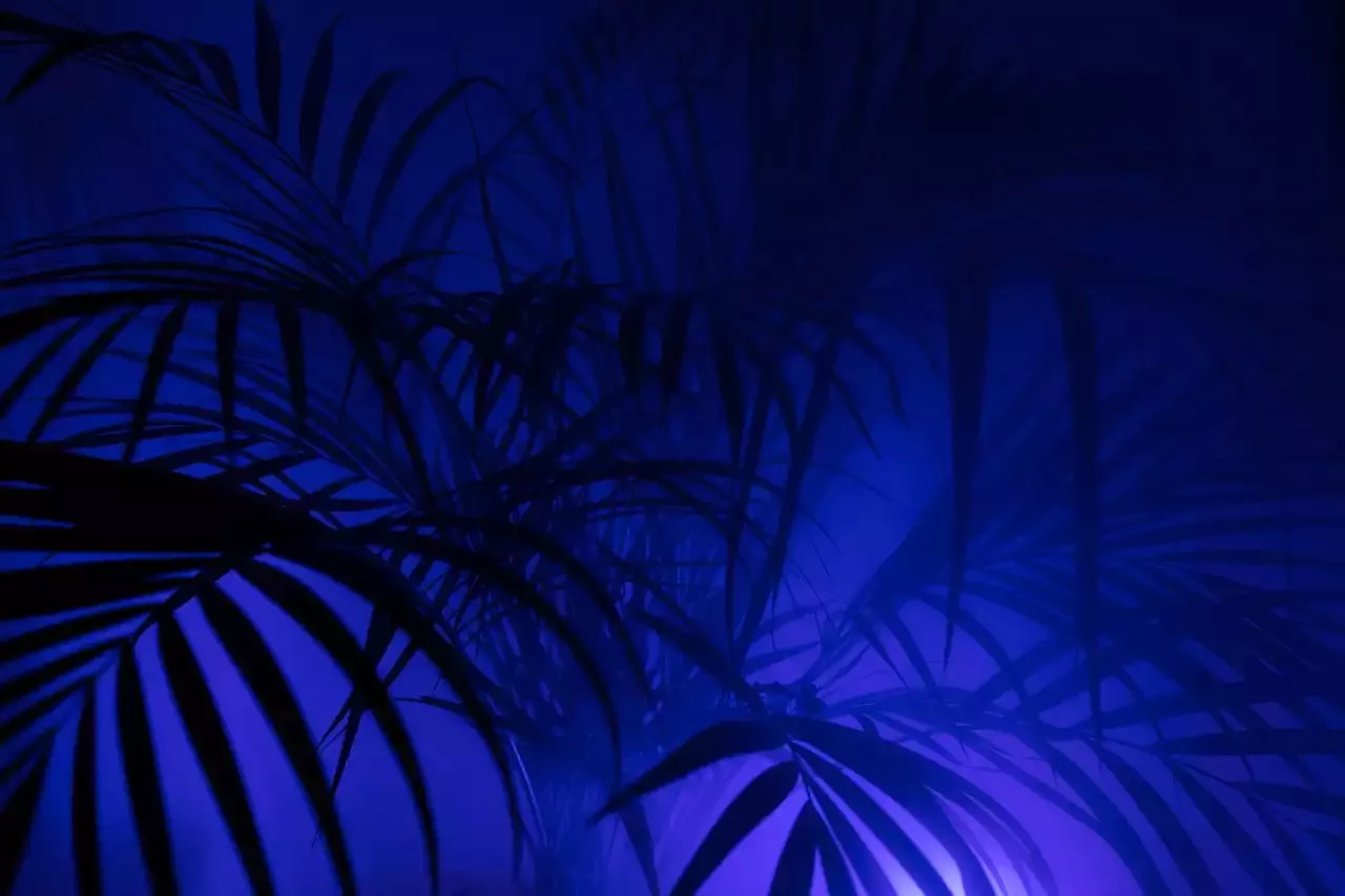 Net Busters: top 5 doelpuntenmakers in de geschiedenis van de Serie A